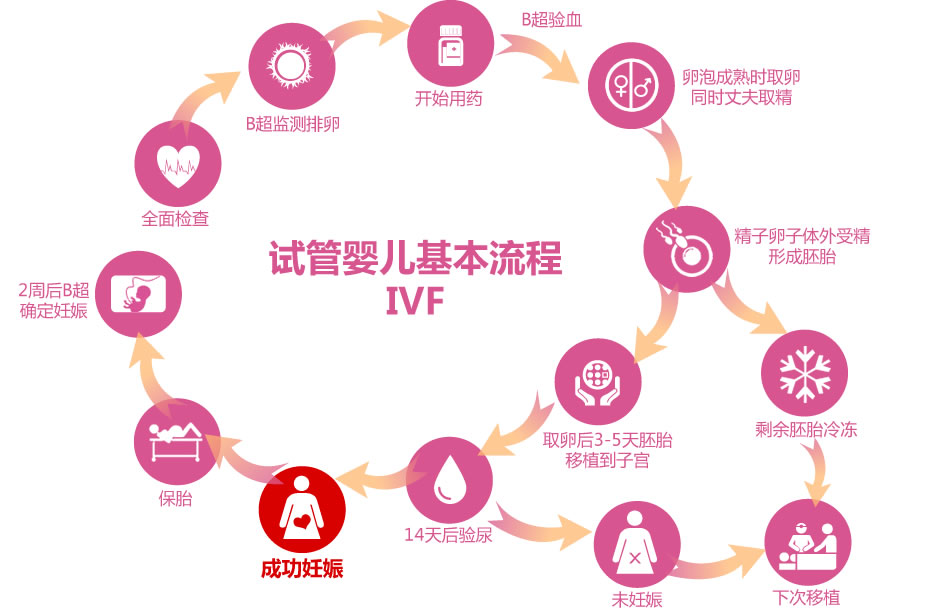 杭州的胚胎植入是指在杭州的医院或诊所进行的辅助生殖技术（ART）程序，其中受精卵（胚胎）被植入女性的子宫内。  这通常是体外受精（IVF）或其他ART疗法的最后一步。